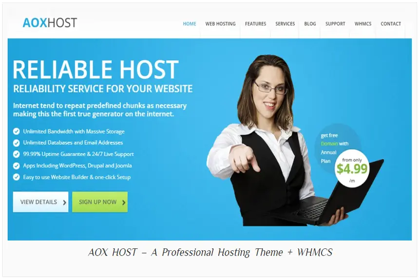 Website Hosting WordPress Theme